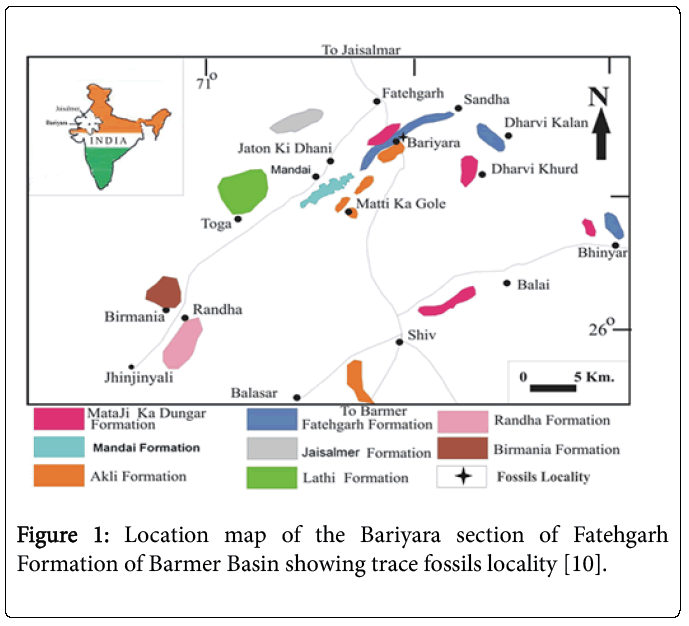 ecosystem-ecography-bariyara-section