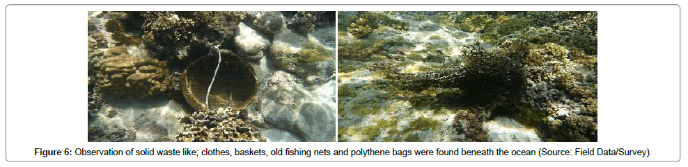 ecosystem-ecography-baskets