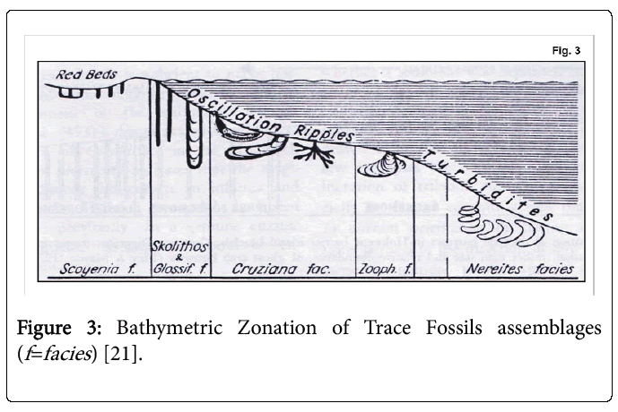 ecosystem-ecography-bathymetric-zonation