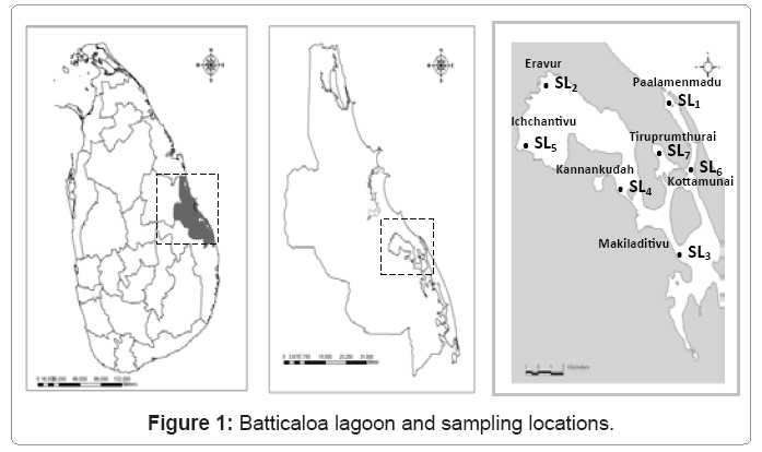 ecosystem-ecography-batticaloa-lagoon