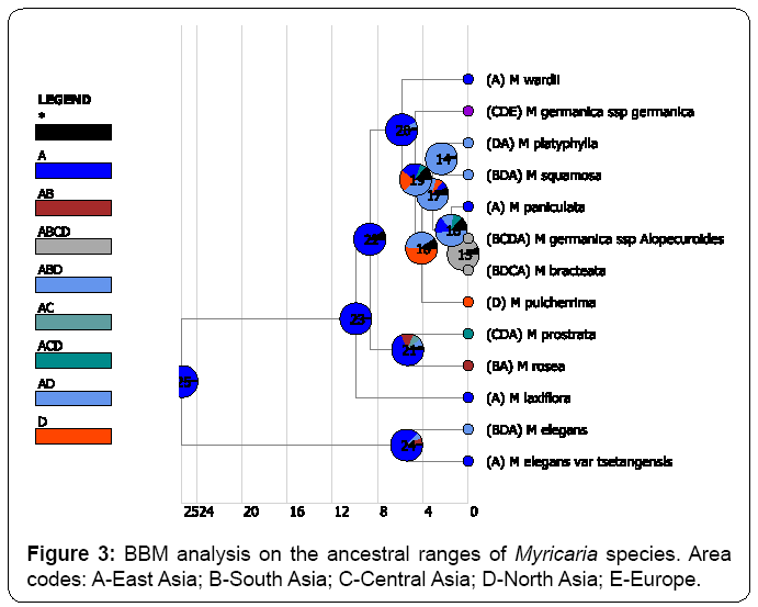 ecosystem-ecography-bbm-analysis