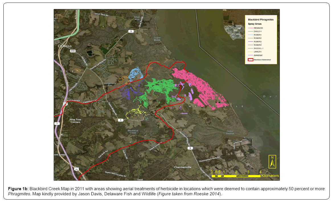 ecosystem-ecography-blackbird-creek-map