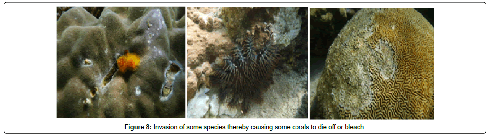 ecosystem-ecography-causing
