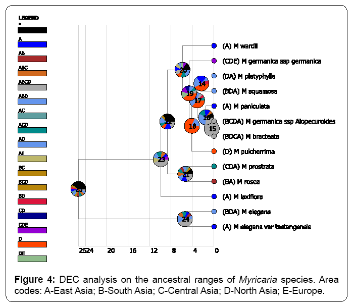 ecosystem-ecography-dec-analysis