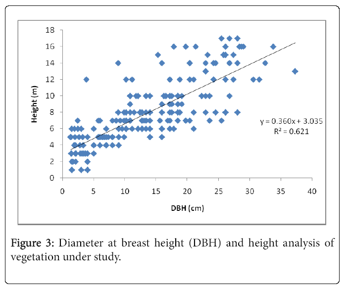 ecosystem-ecography-diameter-breast-height