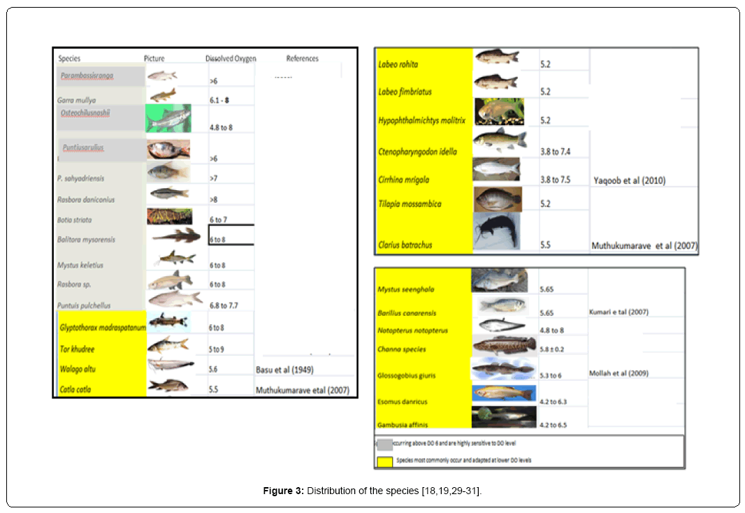 ecosystem-ecography-distribution-species