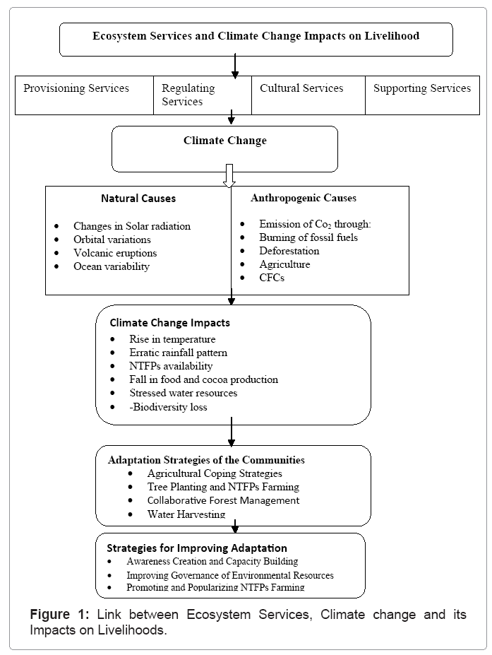 ecosystem-ecography-ecosystem-services