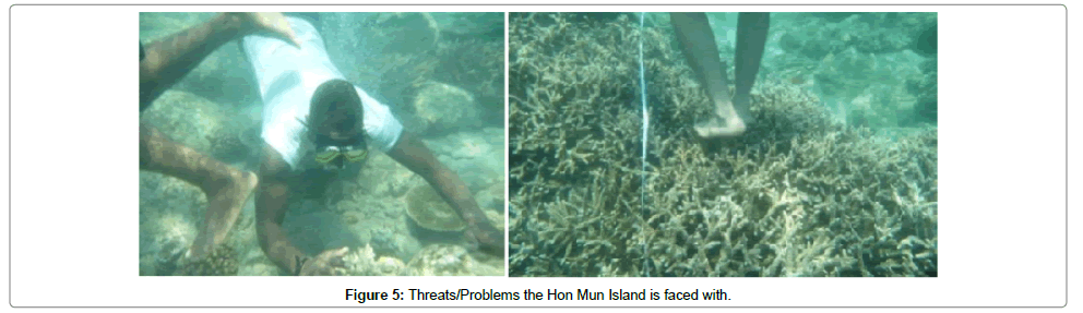 ecosystem-ecography-faced