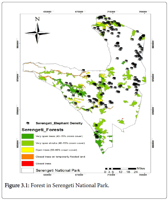 ecosystem-ecography-forest-serengeti