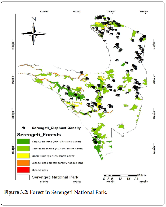ecosystem-ecography-forest-serengeti