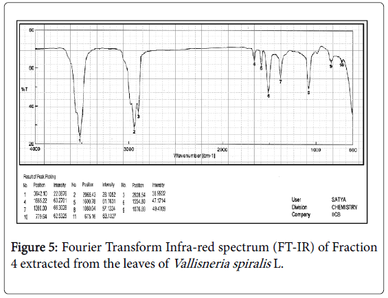 ecosystem-ecography-fourier-transform-infra