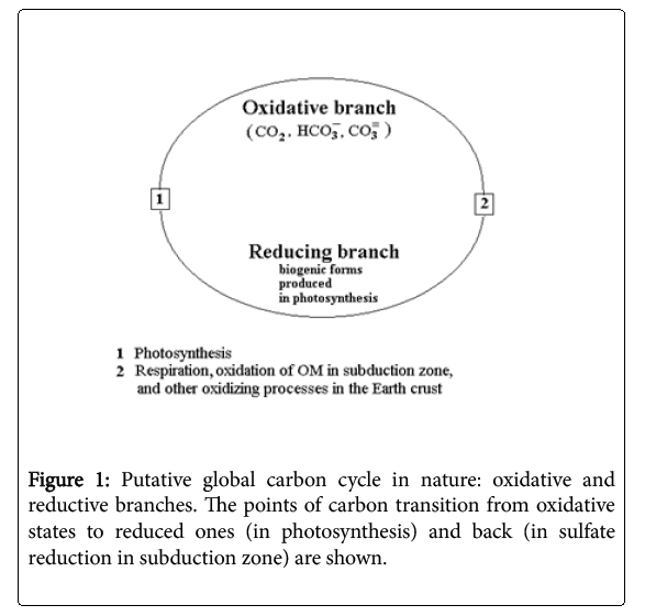 ecosystem-ecography-global-carbon-cycle