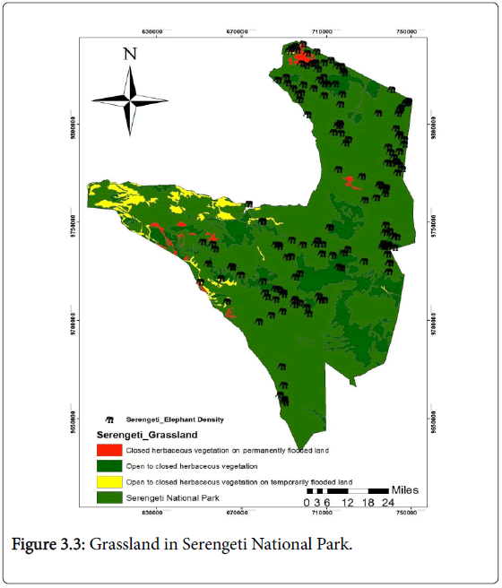 ecosystem-ecography-grassland-serengeti