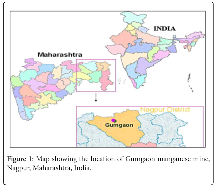ecosystem-ecography-gumgaon-manganese-mine
