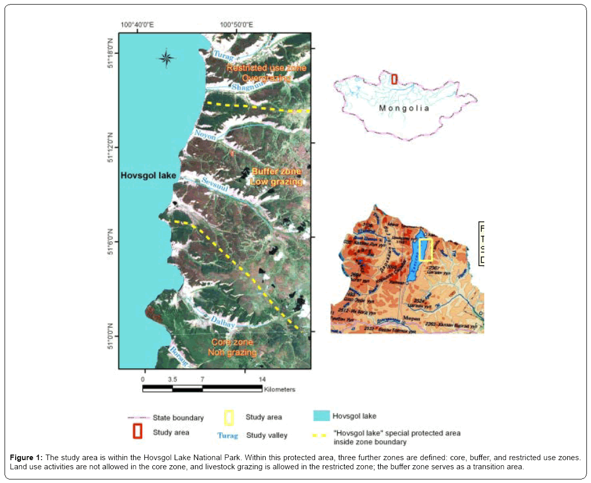 ecosystem-ecography-hovsgol-lake-national-park