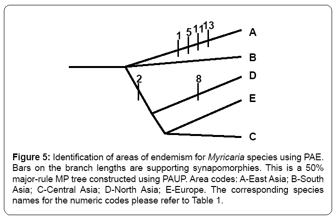 ecosystem-ecography-identification-areas