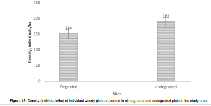 ecosystem-ecography-individual-woody-plants