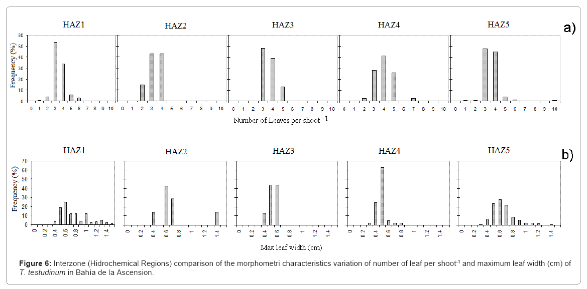 ecosystem-ecography-interzone-hidrochemical