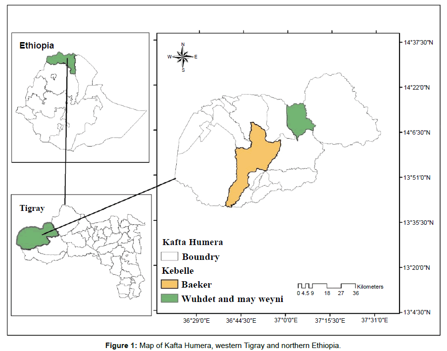 ecosystem-ecography-kafta-humera-tigray