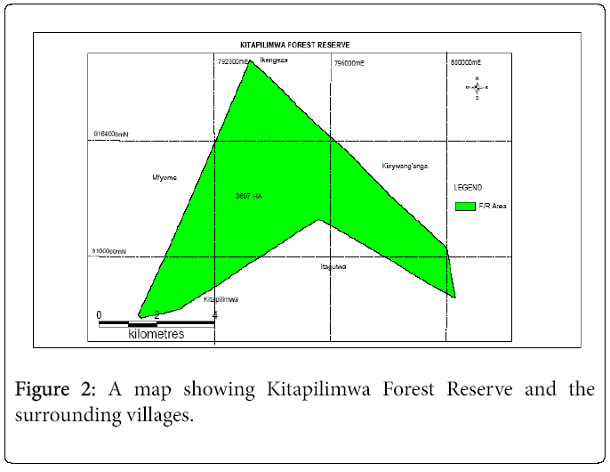 ecosystem-ecography-kitapilimwa-forest-reserve