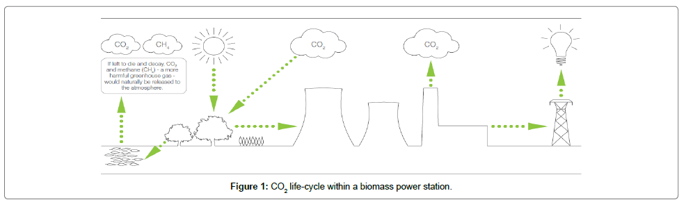 ecosystem-ecography-life-cycle