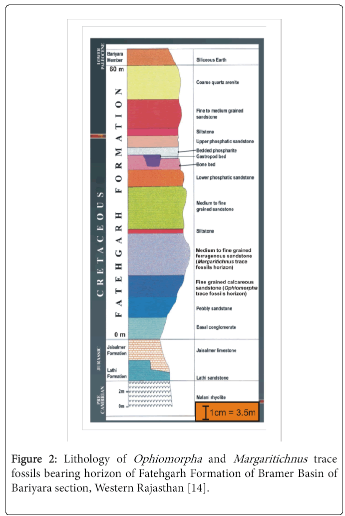 ecosystem-ecography-lithology-ophiomorpha