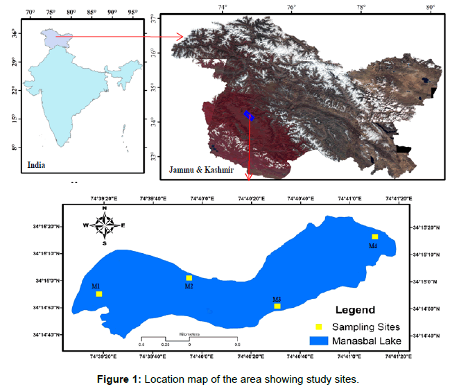 ecosystem-ecography-location-map-area