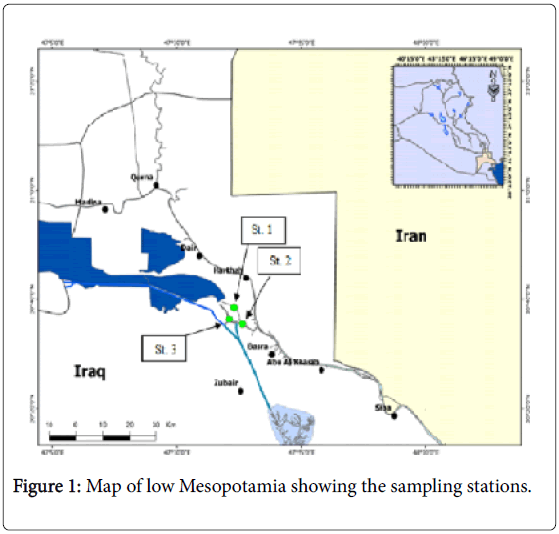ecosystem-ecography-map-low-mesopotamia