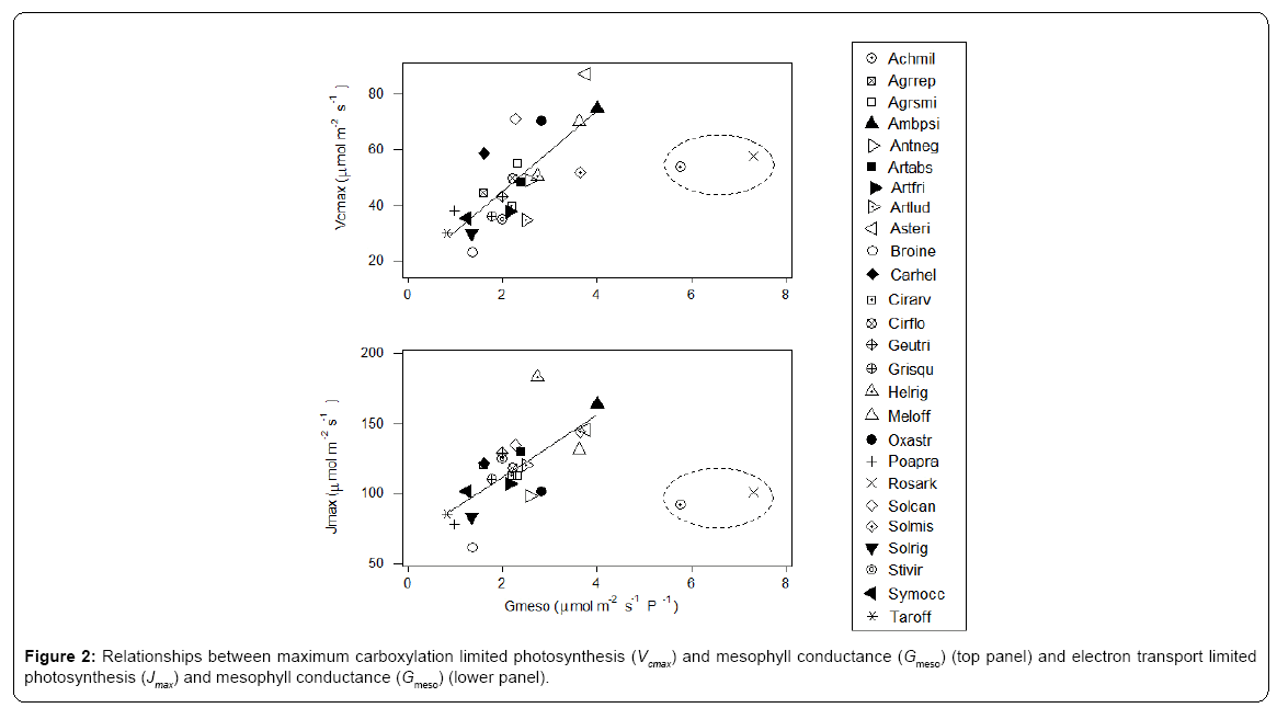 ecosystem-ecography-maximum-carboxylation