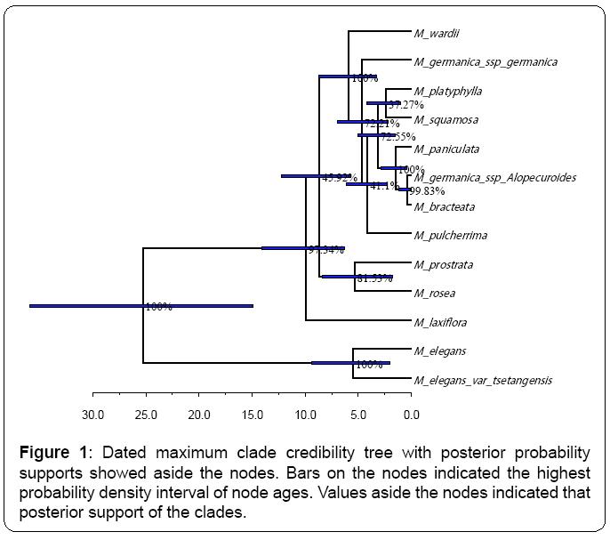 ecosystem-ecography-maximum-clade-credibility