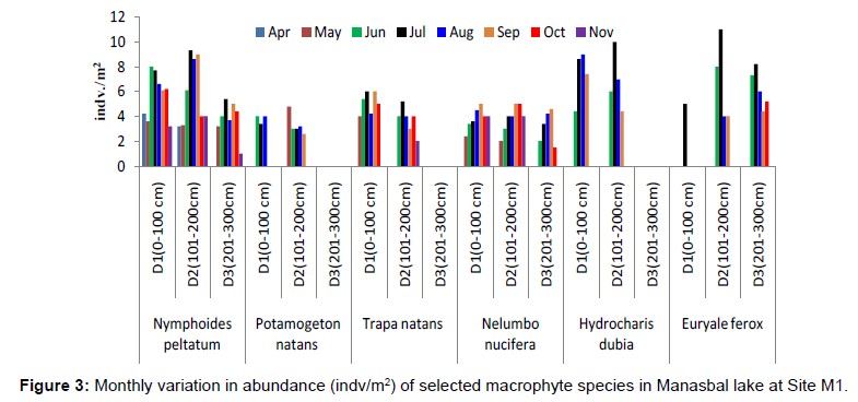 ecosystem-ecography-monthly-abundance-site-m1