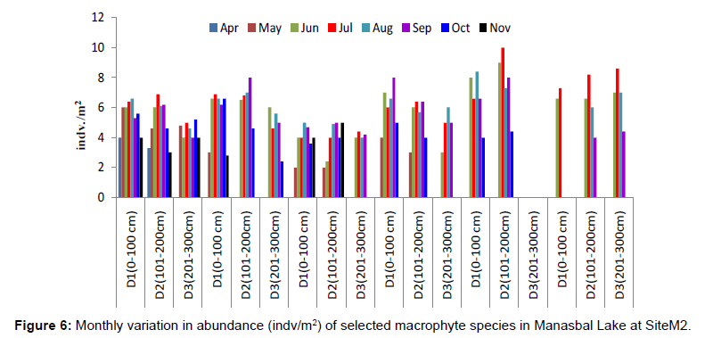 ecosystem-ecography-monthly-abundance-site-m2