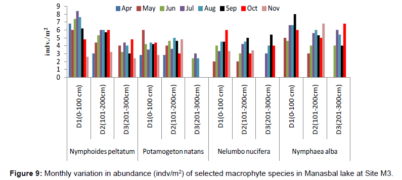ecosystem-ecography-monthly-abundance-site-m3