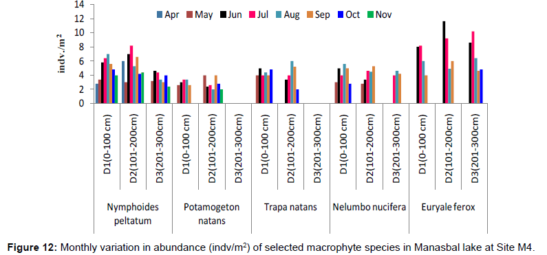 ecosystem-ecography-monthly-abundance-site-m4