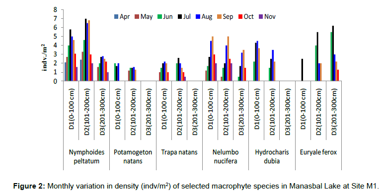 ecosystem-ecography-monthly-density-site-m1