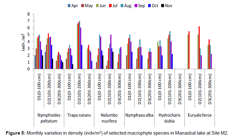 ecosystem-ecography-monthly-density-site-m2
