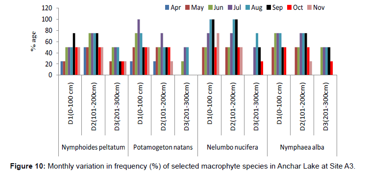 ecosystem-ecography-monthly-frequency-site-m3