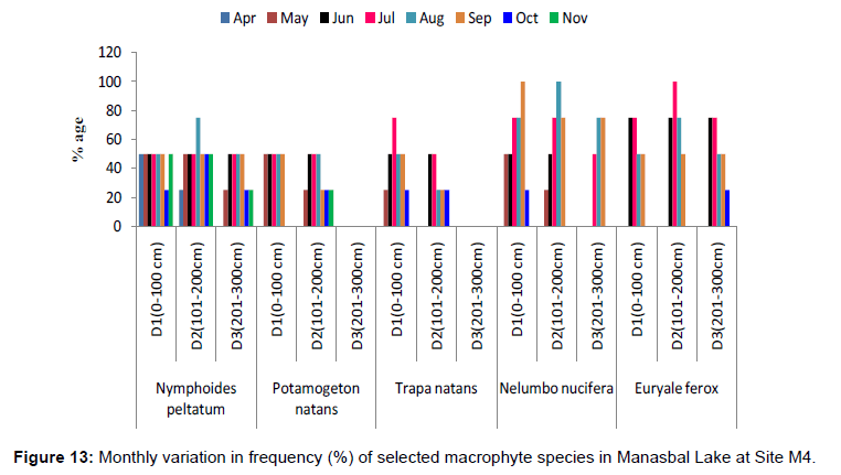 ecosystem-ecography-monthly-frequency-site-m4