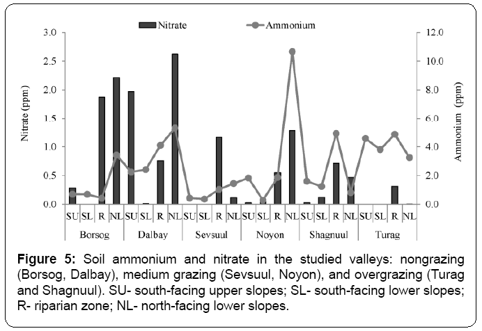 ecosystem-ecography-north-facing-lower-slopes