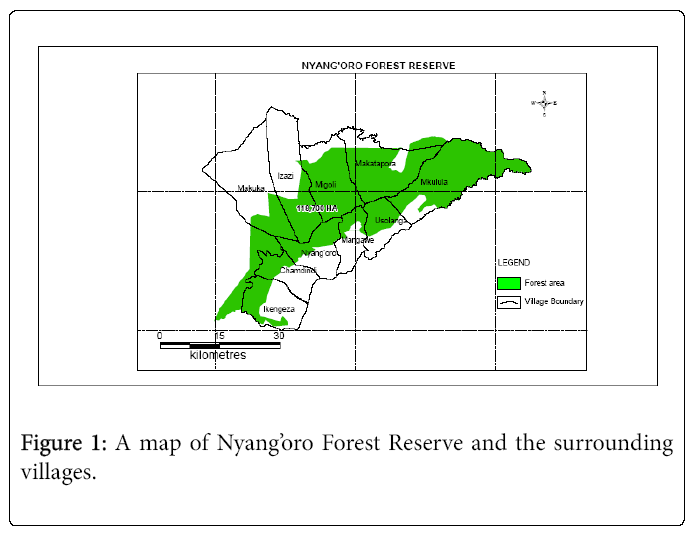 ecosystem-ecography-nyangoro-forest-reserve