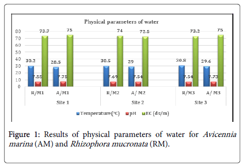 ecosystem-ecography-parameters