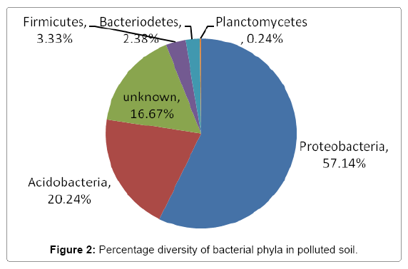 ecosystem-ecography-percentage-diversity-bacterial