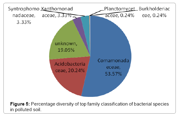 ecosystem-ecography-percentage-diversity-top-family