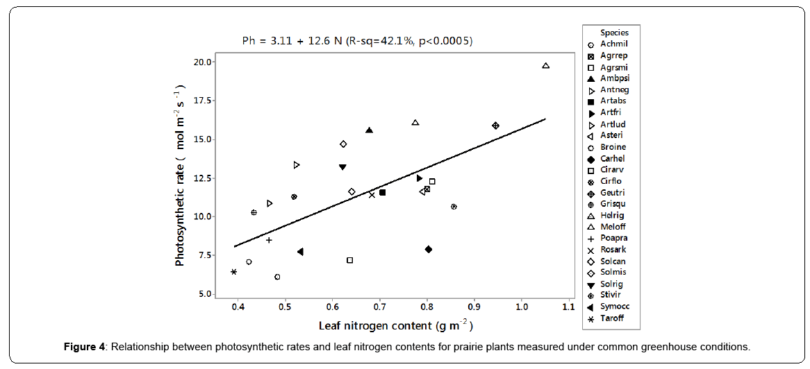 ecosystem-ecography-photosynthetic-rates