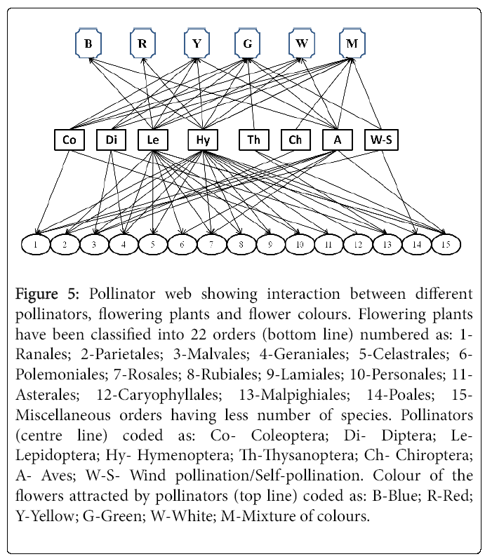 ecosystem-ecography-pollinator-web