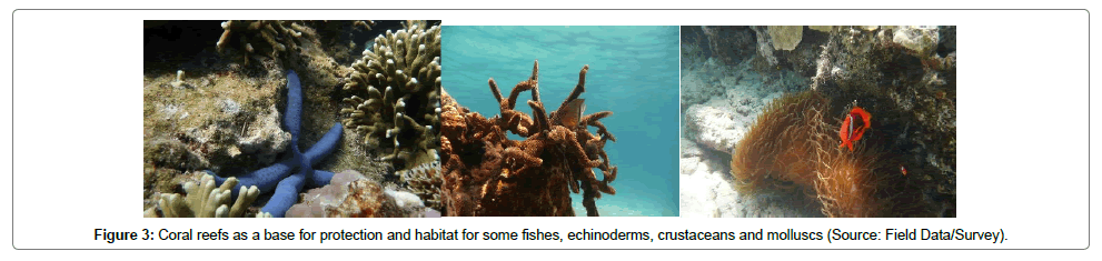 ecosystem-ecography-protection