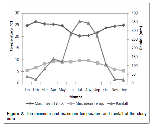 ecosystem-ecography-rainfall
