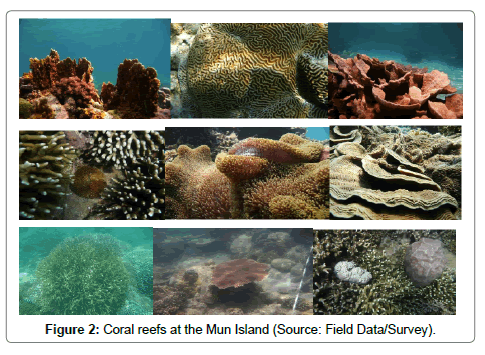 ecosystem-ecography-reefs