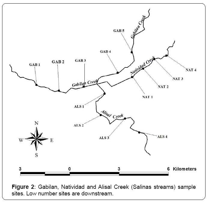 ecosystem-ecography-salinas-streams