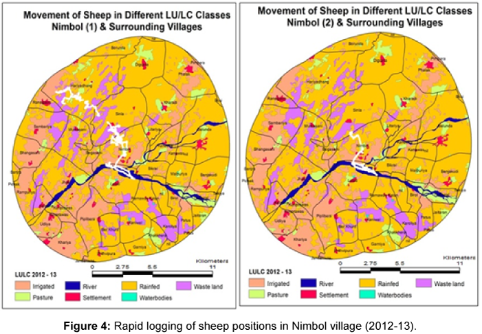 ecosystem-ecography-sheep-positions